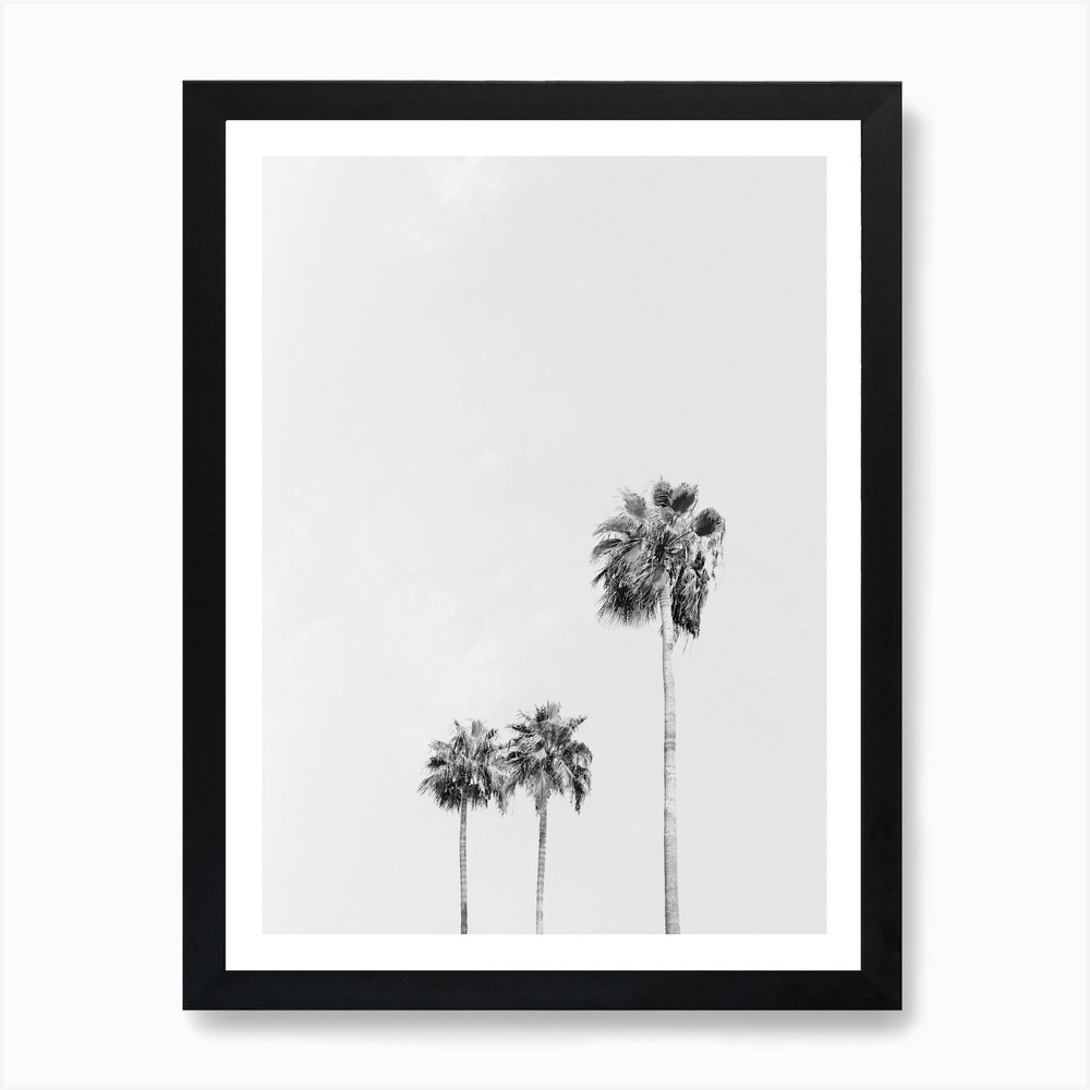 Framed Three Palm Trees Art Print Canvas Wall Decor Picture  