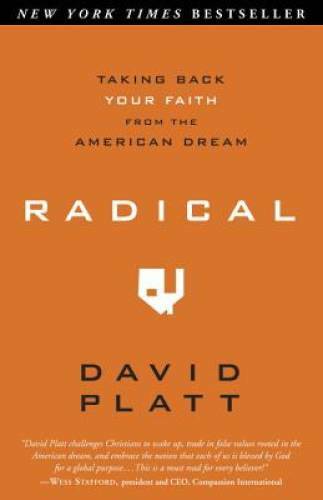 Radical: Taking Back Your Faith from the American Dream - Paperback - VERY GOOD