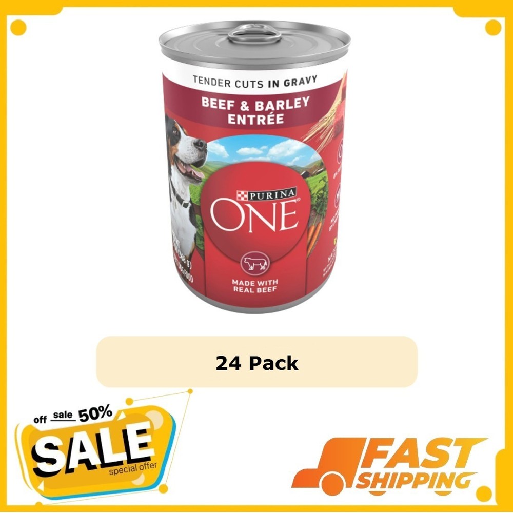 Purina ONE SmartBlend Tender Cuts in Gravy Adult Canned Dog Food, 13 oz 24 Cans