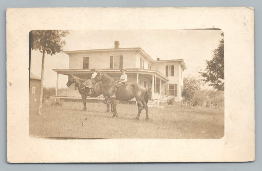 Vintage 1910s RPPC Real Photo Postcard Women on Giant Muscular Horses