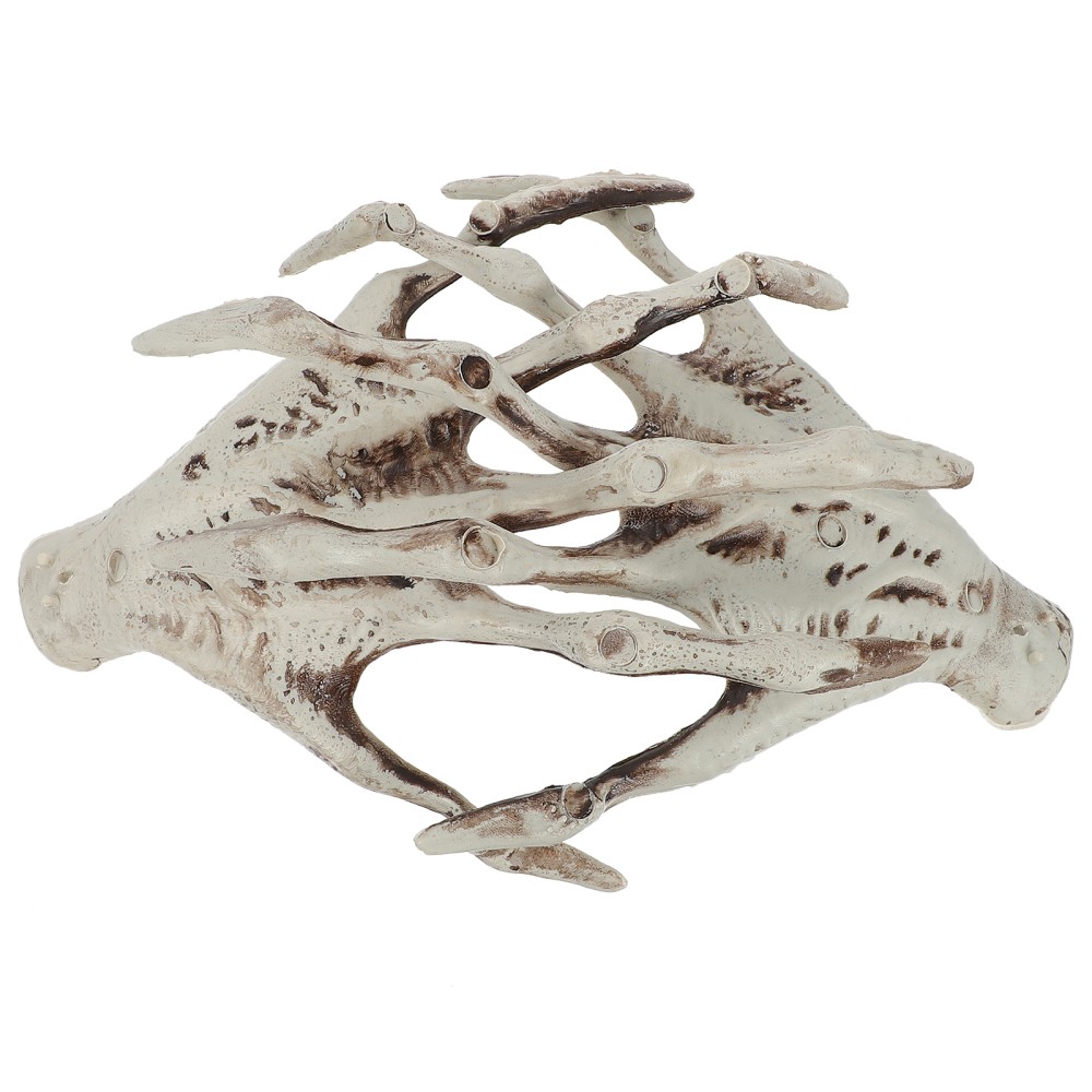 Spooky Witch Claws and Animal Skeletons Halloween Decor