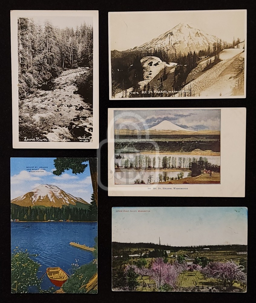Vintage 1910s-50s Mt. St. Helens Washington Scenic Postcards - Set of 14