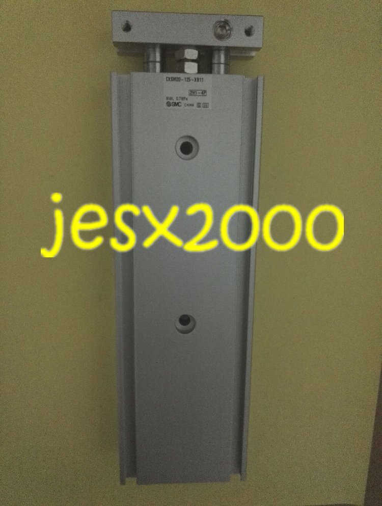 1PC NEW SMC Cylinder CXSM20-125-XB11 #F8