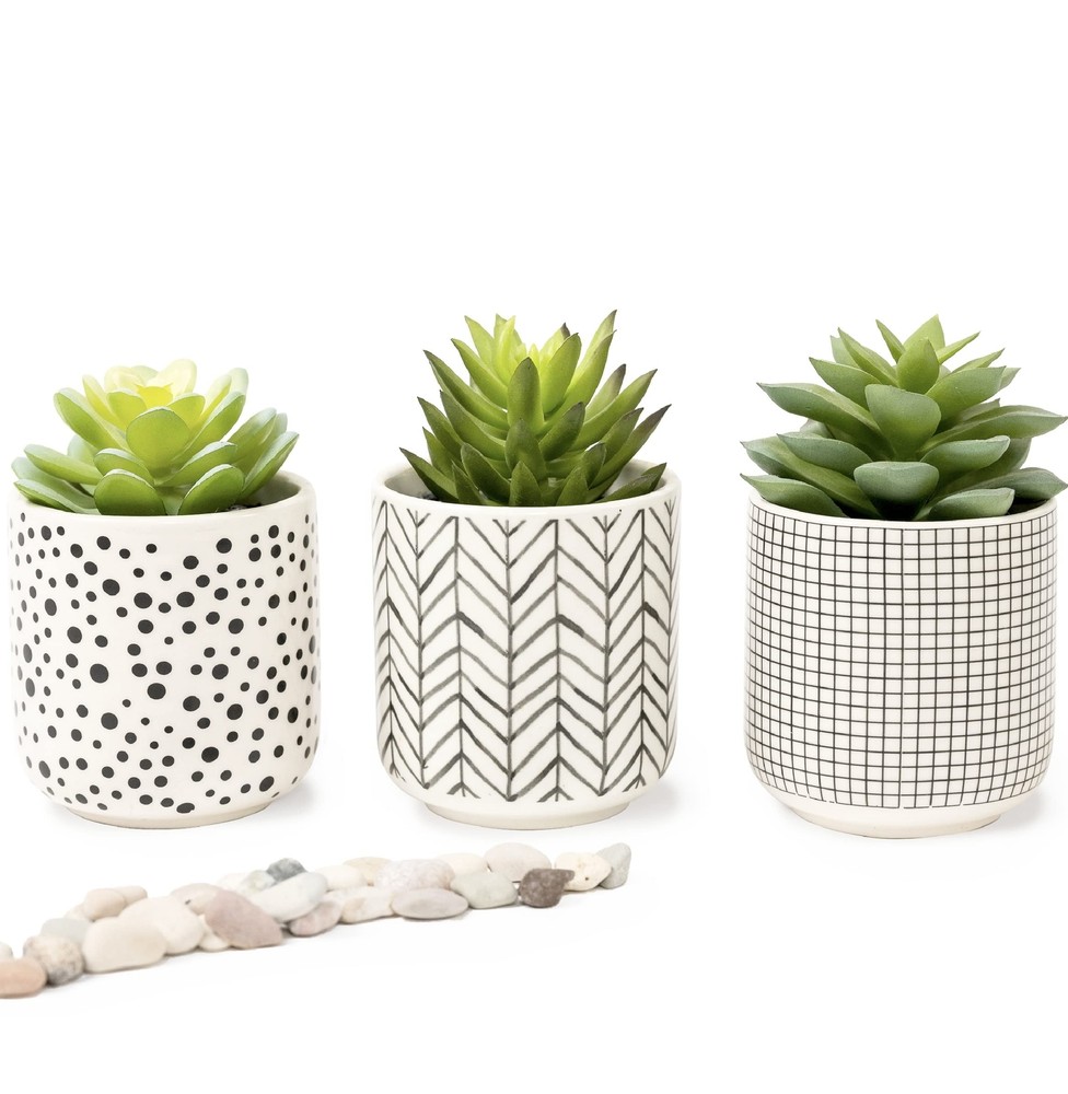 3 Artificial Succulents in Stylish Black & White Pots
