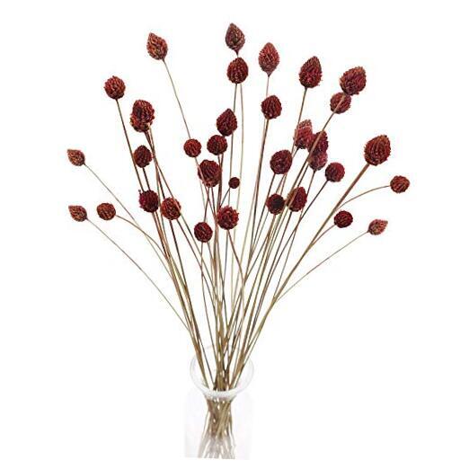 30pcs Fall Dried Flowers Bouquet Bulk Mini Pine Cone Flowers Natural Dried