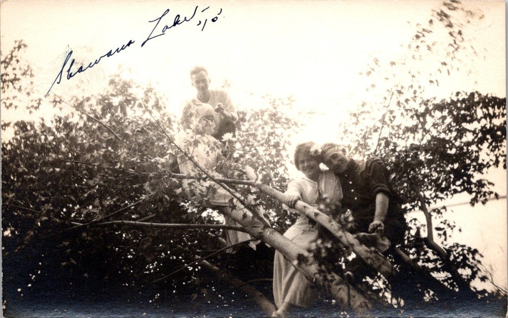 Shawano Lake Wisconsin 1915 Two Romantic Couples Climb Tree RPPC Postcard  16257
