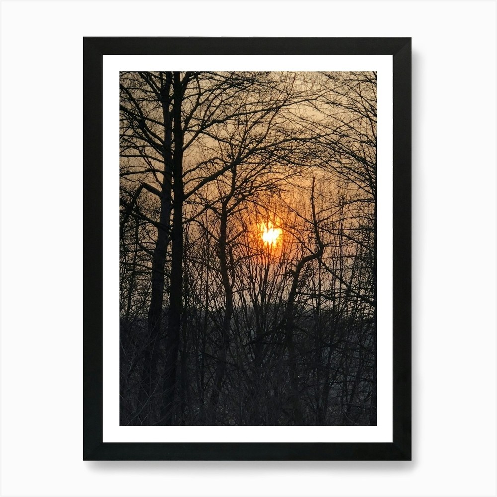 Sunrise Through The Trees Art Print Framed Wall Art Poster Canvas Print Picture