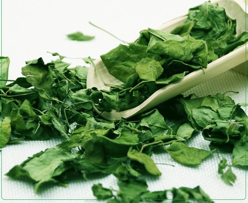 8.8OZ Moringa Leaf Tea, Moringa Oleifera Leaf Tea, Leaves of Moringa Oleifera