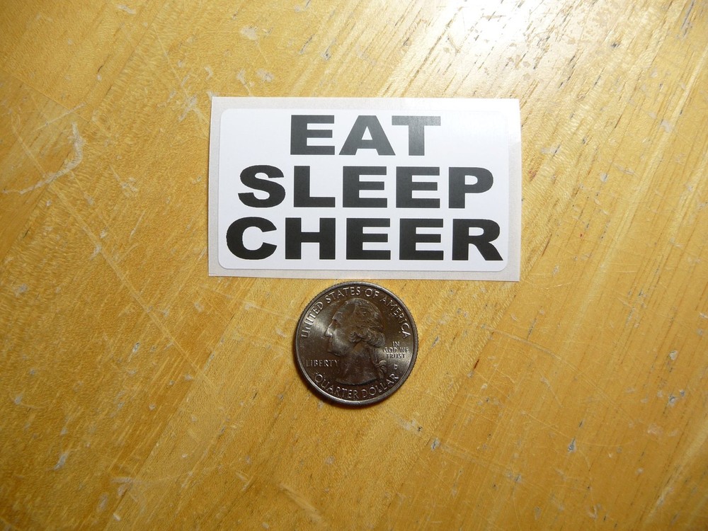Eat Sleep Cheer Sticker Decal Bulk Pack 1-50 Available