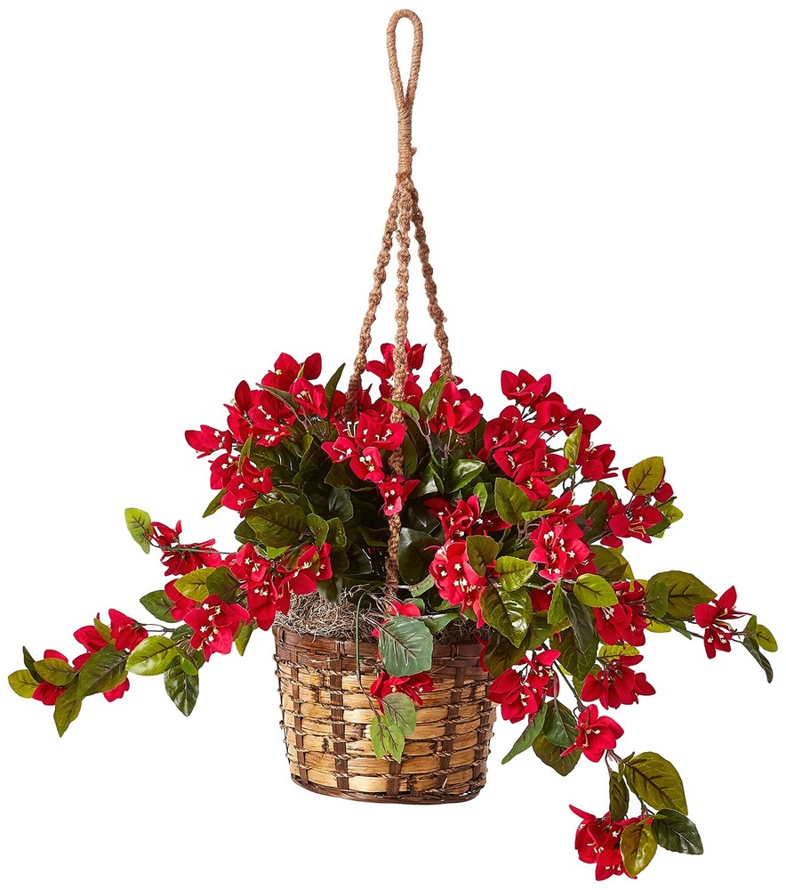 Bougainvillea Hanging Basket UV Resistant (Indoor/Outdoor)