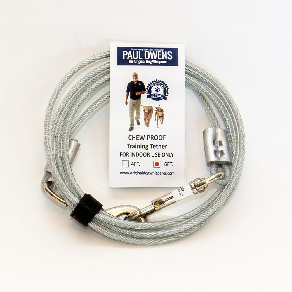Paul Owens, The Original Dog Whisperer 6 Ft. Chew-Proof Training Tether for Dogs