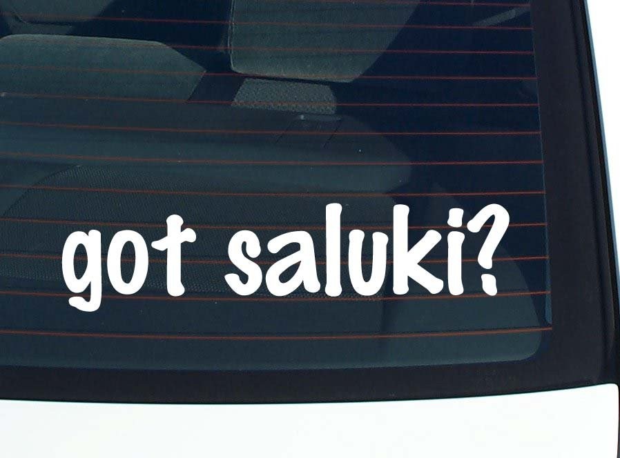 got saluki? CAR DECAL BUMPER STICKER VINYL FUNNY JOKE WINDOW