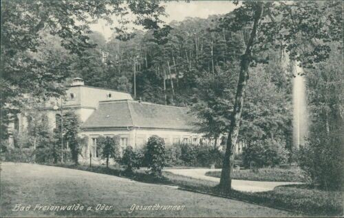 Ansichtskarte Bad Freienwalde a. Oder Gesundbrunnen1915  (Nr.895)