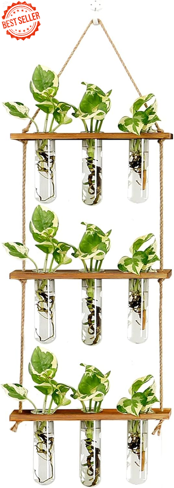 Wooden Wall Hanging Propagation Station with Glass Test Tubes for Hydroponic Plants