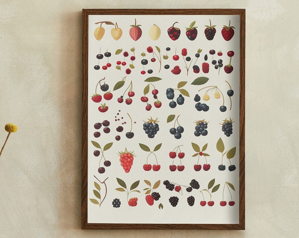 Retro Minimalist Multiple Berries Painting Artwork Print At Home Wall Art Wall