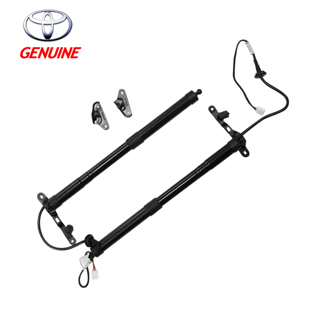OEM Genuine 2013-18 Toyota RAV4 Rear L+R Tailgate Lift Supports Strut 6891009010
