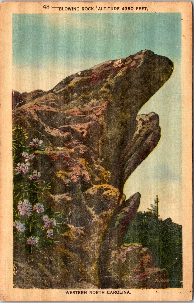 1950s Blowing Rock NC Gorge Vintage Souvenir Postcard Western North Carolina  