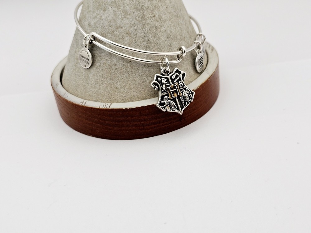 Alex Ani Harry Potter Hogwarts Crest Charm Bangle Silver Bracelet