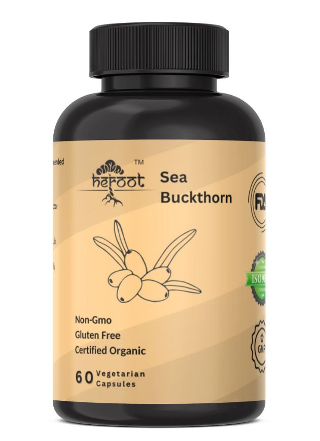Sea Buckthorn Capsules 500mg | 60 Capsules | Sea Buckthorn Berry Extract |