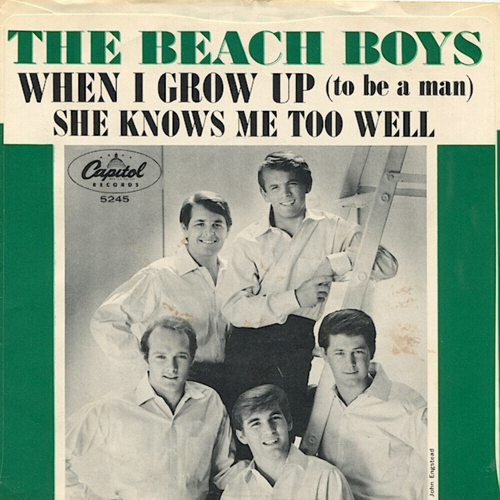 The Beach Boys - When I Grow Up To Be A Man 7 Inch Single Vinyl