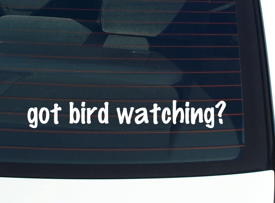 Got Birdwatching Funny Car Decal Bumper Sticker Vinyl Window Joke