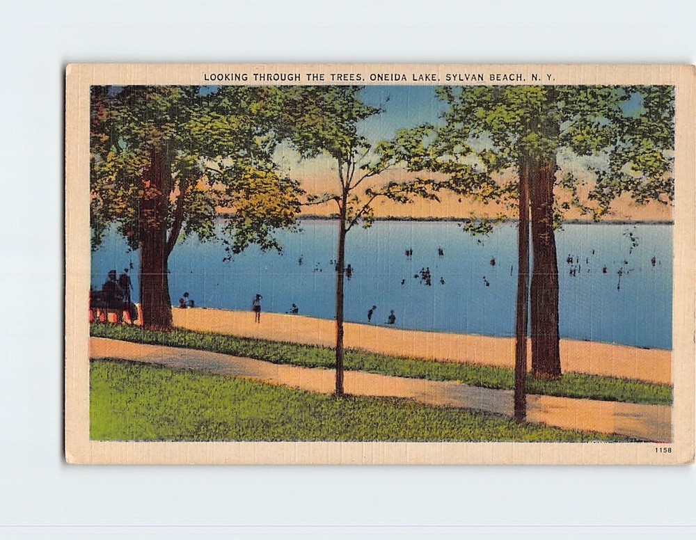 Postcard Looking Through the Trees Oneida Lake Sylvan Beach New York USA