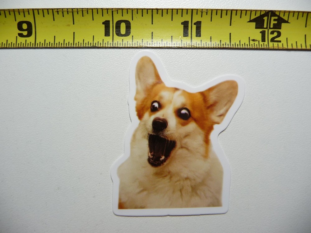Shocked Pembroke Welsh Corgi Funny Pet Sticker Decal Cut Dog Puppy Fun