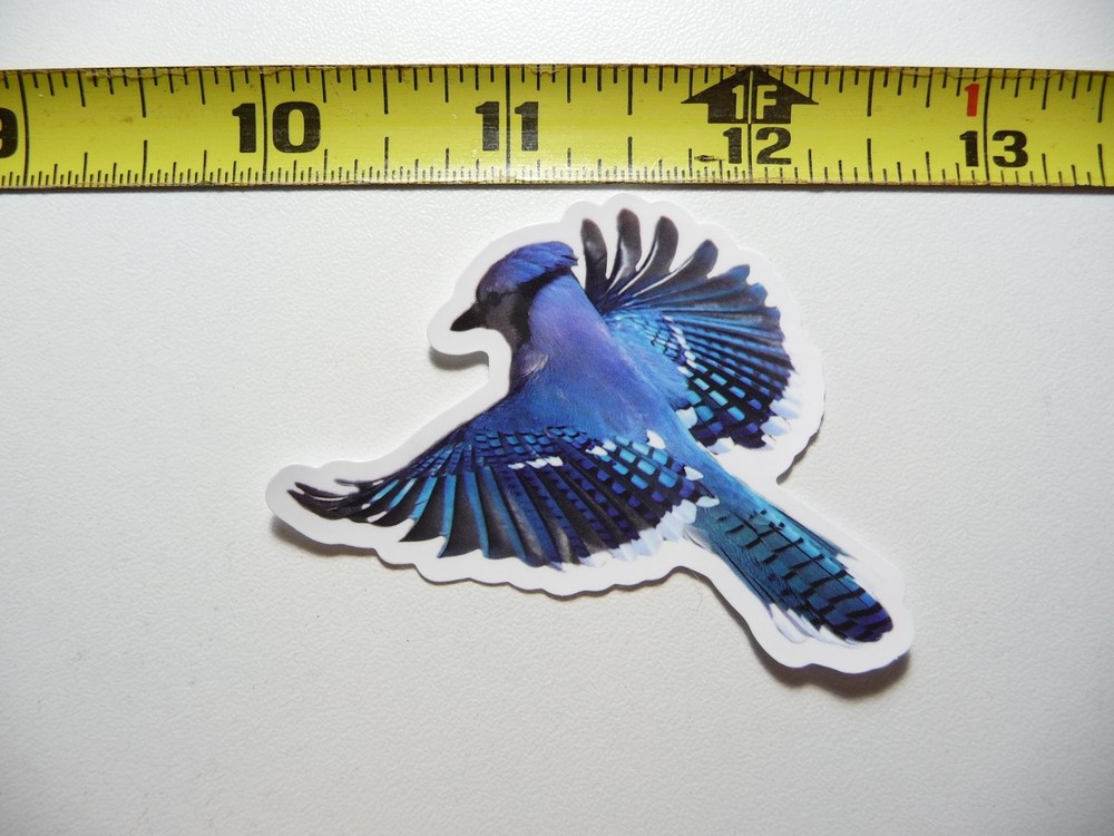 Flying Blue Jay Bird Wildlife Nature Animal Sticker Decal