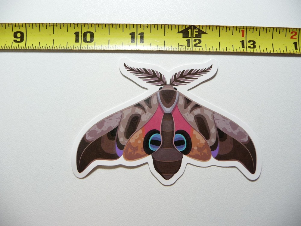 Moth #5 Cute Fun Insect Bug Decal Sticker for Decor