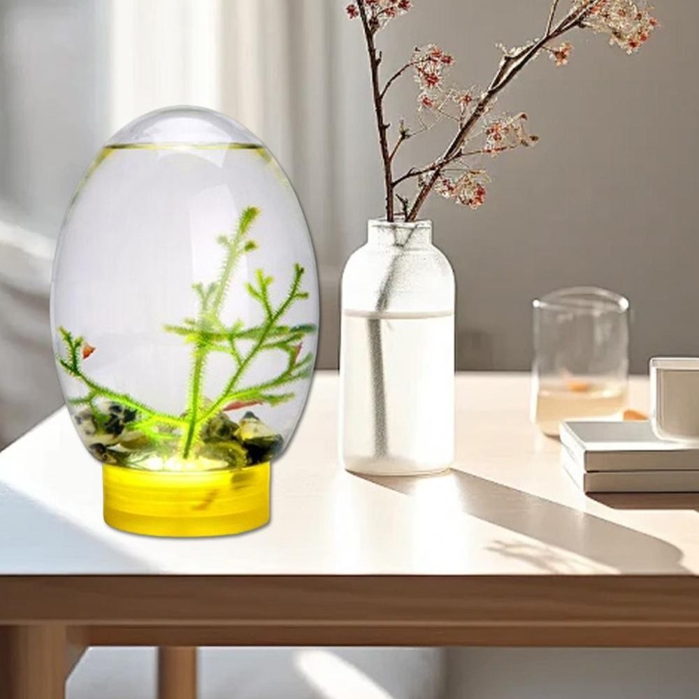 Mini Fish Tank with LED Light, Small Desktop Aquarium Eco Self Z9V3 D1N1 2025