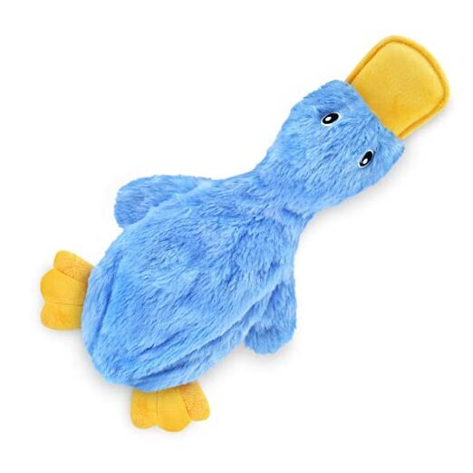 Crinkle Dog Toy for Small, Medium, and Breeds, Cute No Stuffing Large Blue