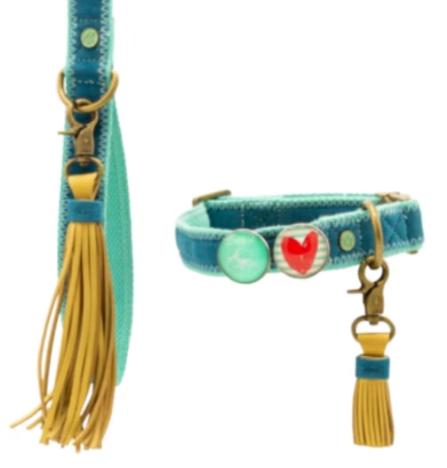 Pet Gift Set: Collar and Leash with Decorative Buttons + Tassel