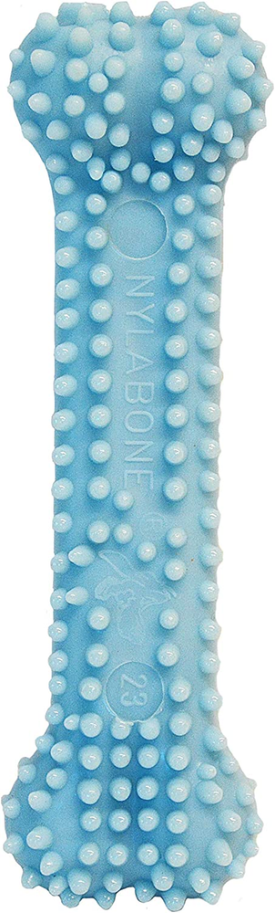 Nylabone Textured Teething Bone Chew Toy for Puppies, Puppy Chewing Toys, Blue,