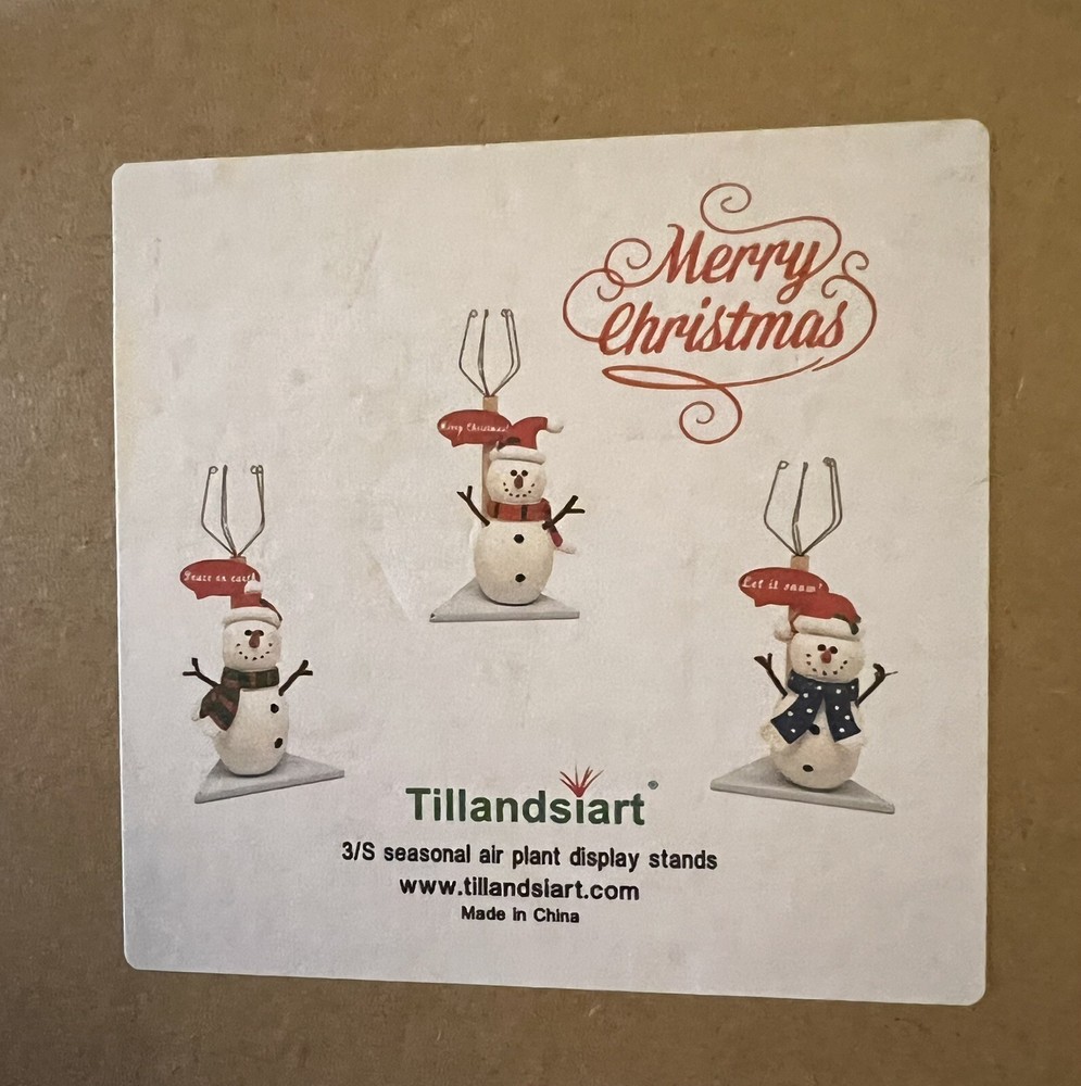 Seasonal Air Plant Stands/Christmas Decorations Set 3-image