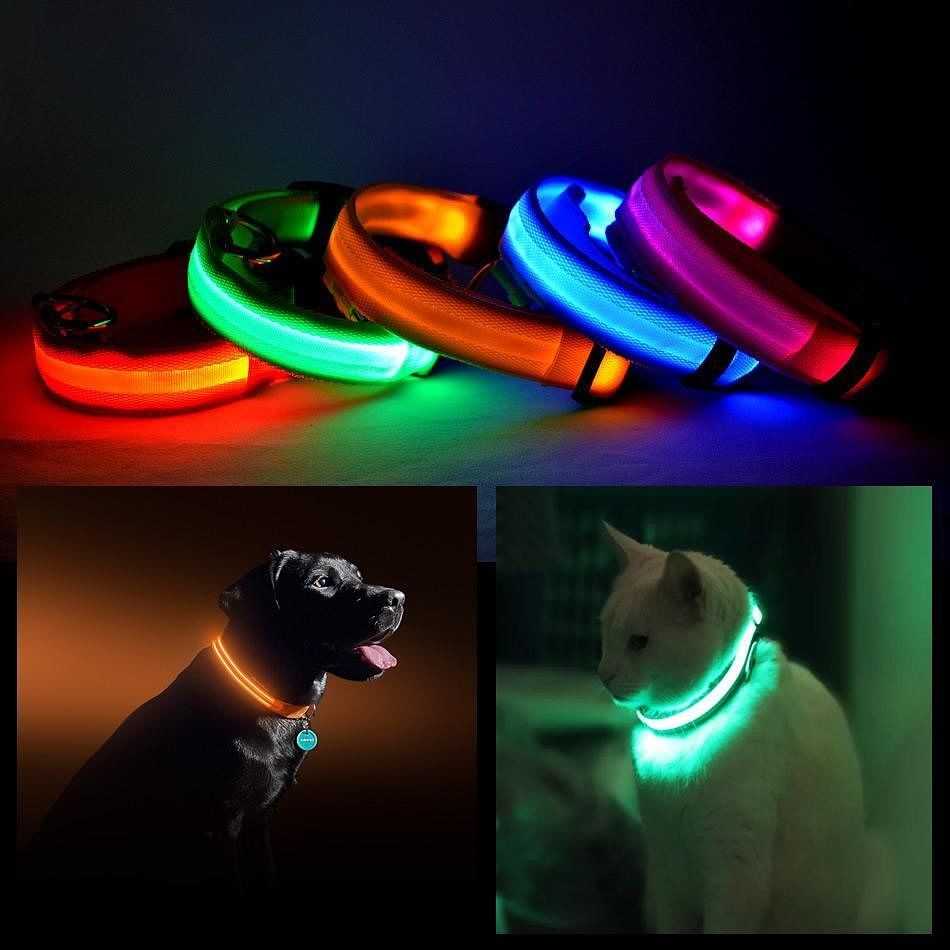Hot Pink Small LED Pet Safety Halo Collar for Dogs