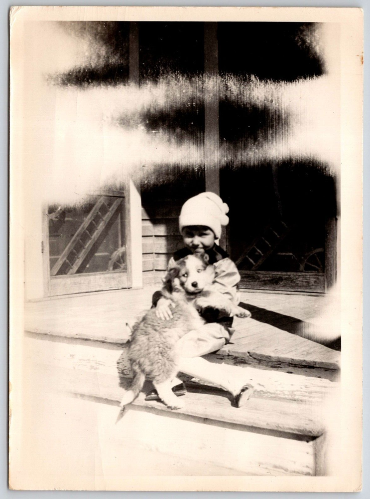 Terrier Dog Photography Early Studio Photo Family Found PIcture Art