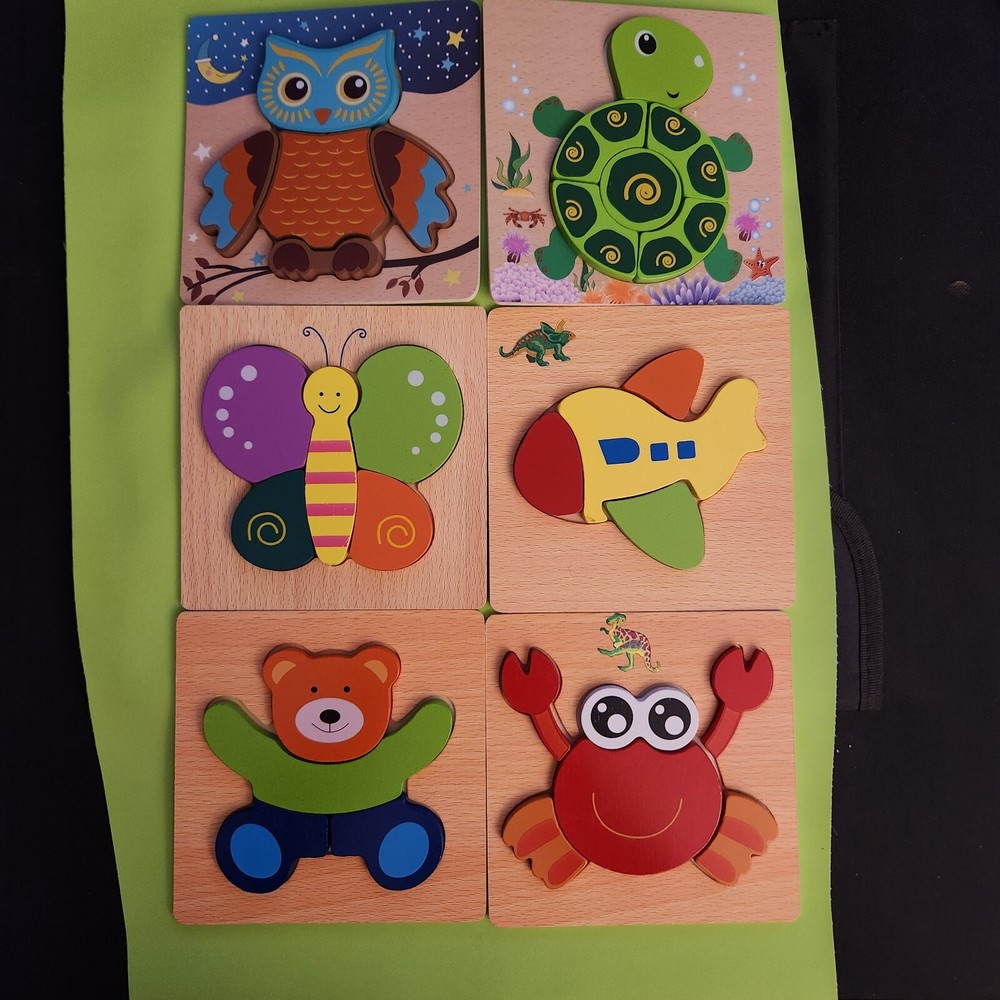 Set of 6 Wooden Stereoscopic Puzzles, Educational Puzzles