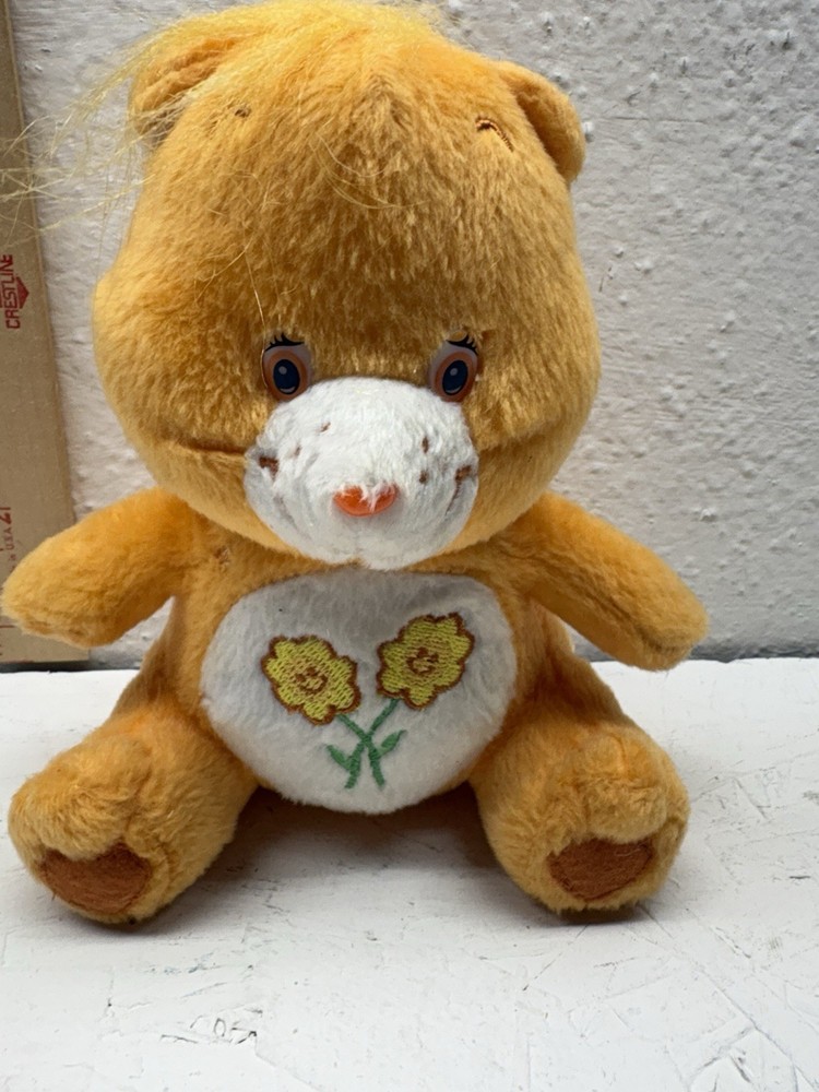 Vintage 2000s Play Along Care Bears Friend Bear Plush Toy