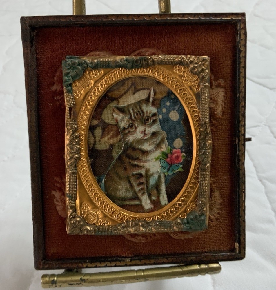 Antique Union Half Case Framed, Vintage Kitty Cat Trade Card