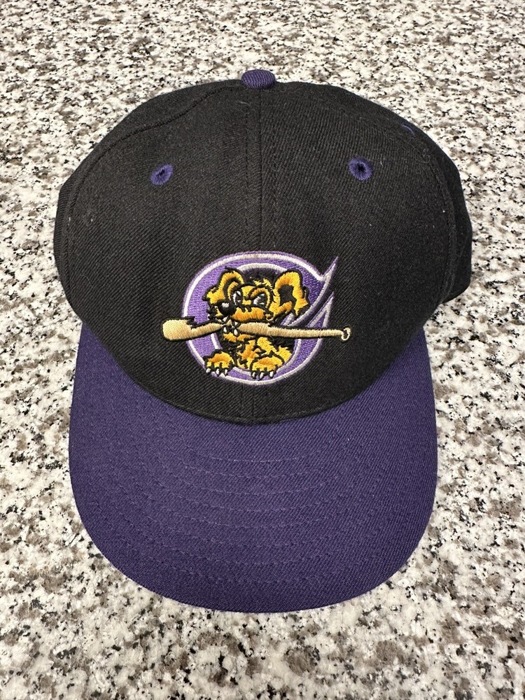 VINTAGE Charleston Riverdawgs New Era Hat 7 1/4