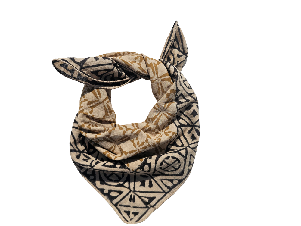 Organic Cotton Paisley Bandana Scarf in Vibrant Colors