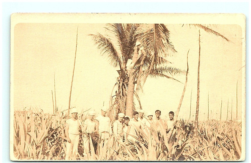 S02-8444, GROUP AT A TROPICAL LOCATION, MEN FROM U.S.S. GEORGIA, RPPC