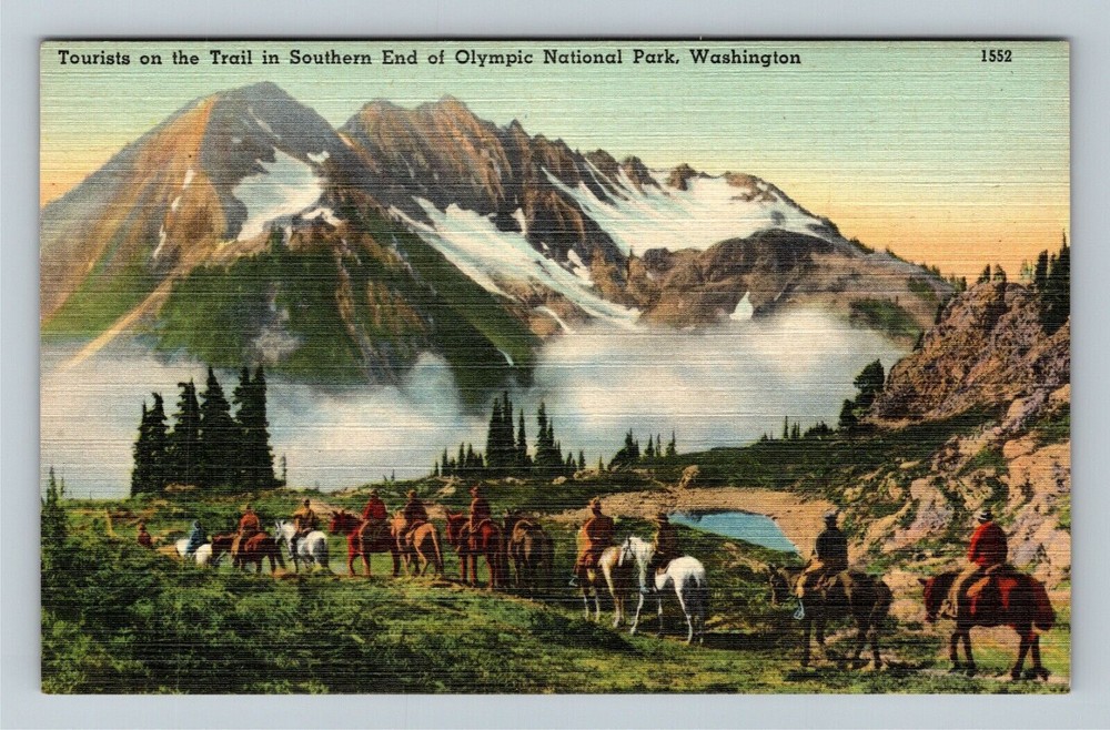 Tourists on Horseback Riding Trail in Olympic National Park Washington Linen Postcard