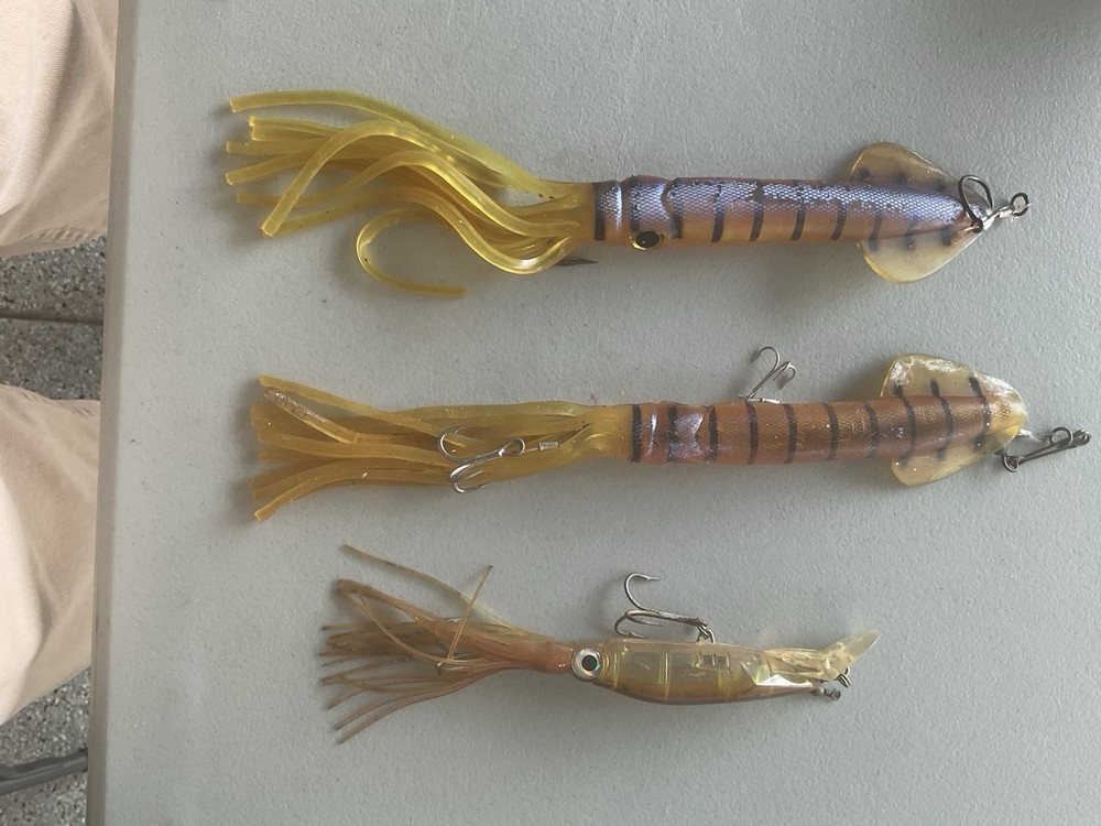 Squid Fishing Lures for Saltwater and Freshwater Anglers