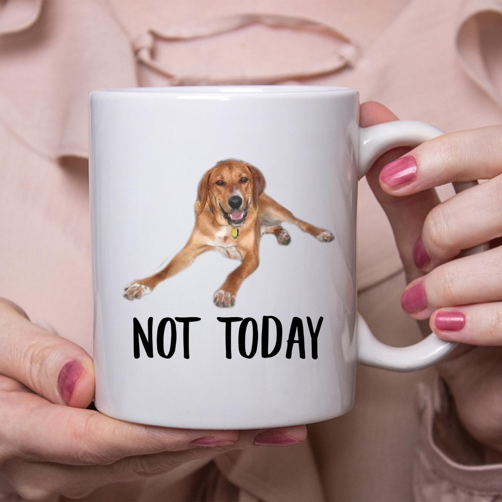 Fun Redbone Coonhound Dog Mug - Not Today - Perfect Gift for Dog Moms & Lazy Days  