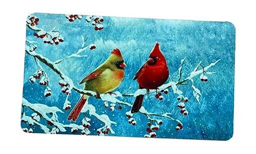 Winters Non-Slip Bath Mat Soft Absorbent Microfiber Floor Mat with Cardinal