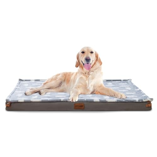 Orthopedic Memory Foam XL Dog Bed with Removable Grey Cover for Large Breeds