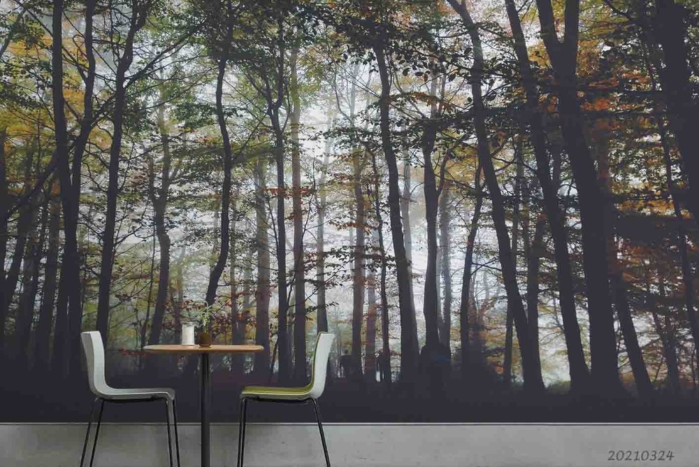 3D Forest Landscape Wall Murals Wallpaper Murals Wall Sticker