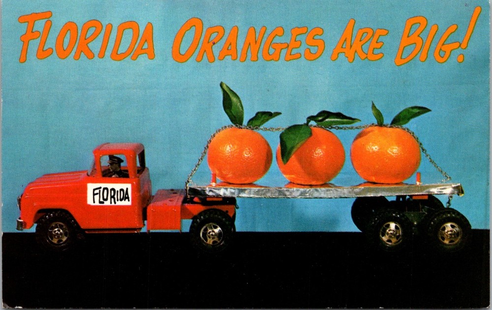 Vintage Florida Oranges Advertising Semi Truck Haul Postcard 25750