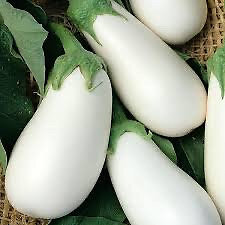 20 Japanese white sweet eggplant vegetable plant seeds flowers rare colorful fa